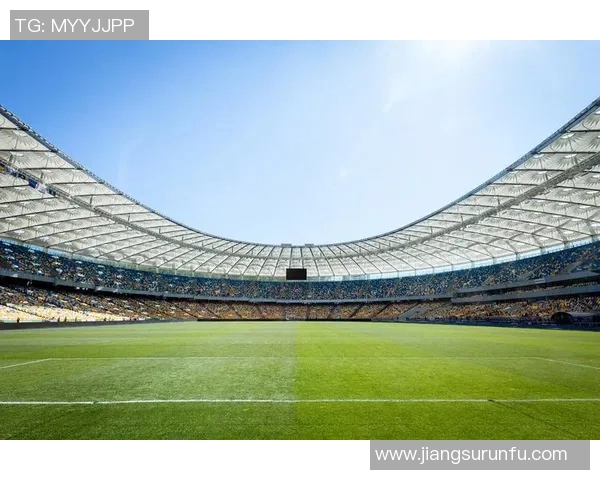 足球明星小罗伯特的精彩人生与职业生涯全景介绍及精彩瞬间图片分享