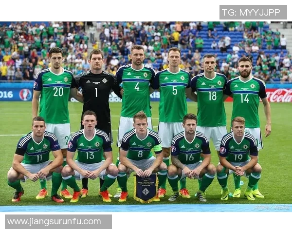 爱尔兰与保加利亚足球赛精彩比分结果分析与回顾